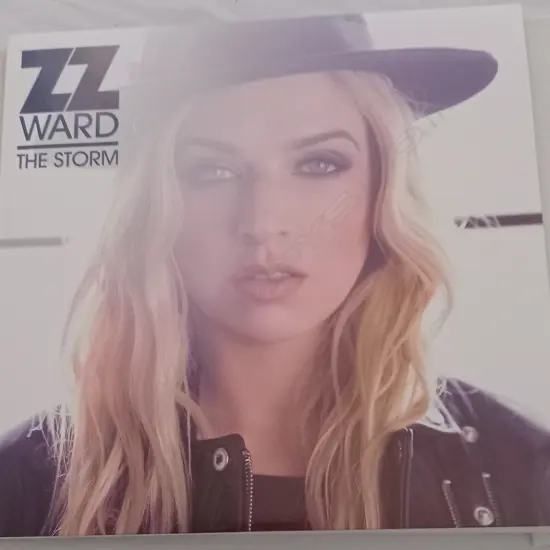 ZZ Ward, The Storm